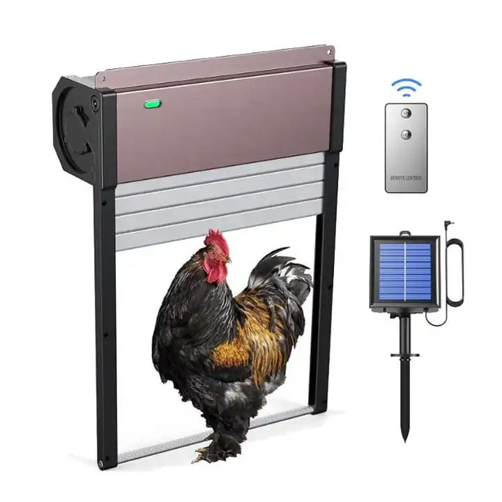 Auto Chicken Coop Door